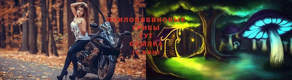хмурый Зеленокумск