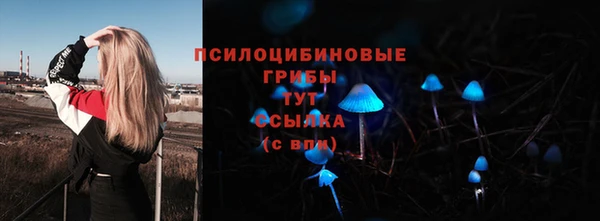 индика Зерноград