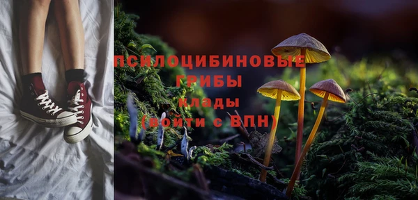 соль ск Заволжск