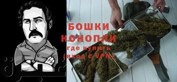индика Зерноград